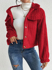 Thumbnail for Fuzzy Button Up Collared Neck Jacket