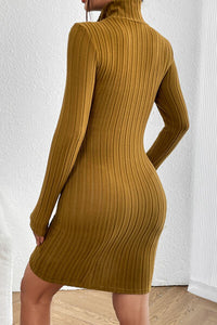 Thumbnail for Turtleneck Long Sleeve Mini Dress