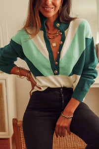 Thumbnail for Color Block Buttoned Sweater