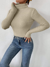 Thumbnail for Ribbed Turtleneck Long Sleeve Sweater