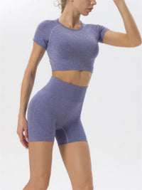 Thumbnail for Solid Color Dry Fit Seamless Yoga Shorts Set